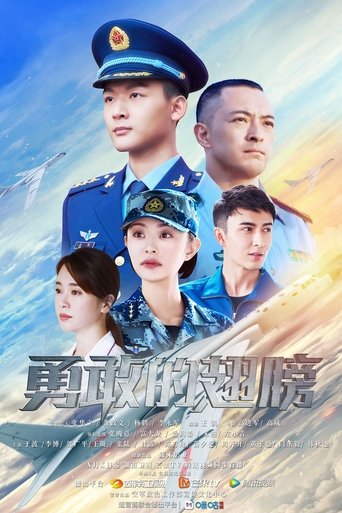 勇敢的翅膀海报