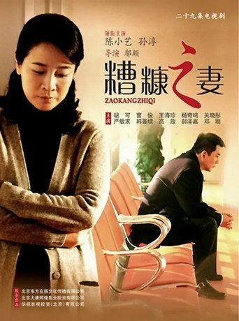 我的糟糠之妻海报