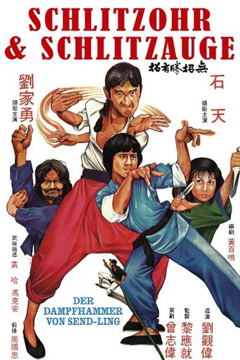 无招胜有招海报