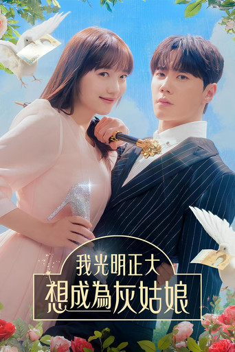 我公然梦想成为灰姑娘海报