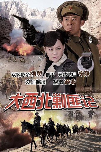大西北剿匪记海报