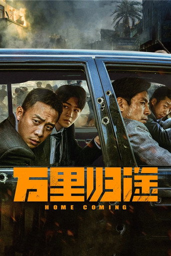 万里归途海报