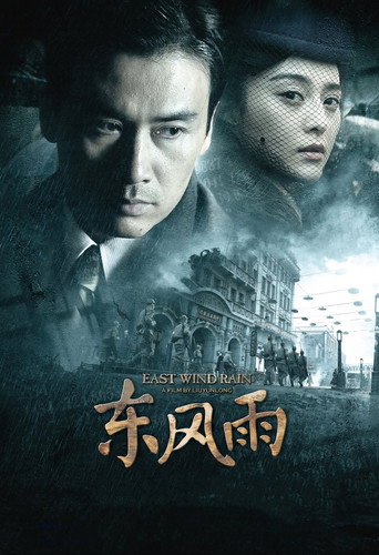 东风雨海报