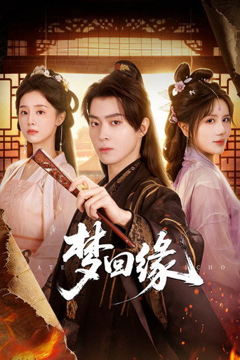 梦回缘海报