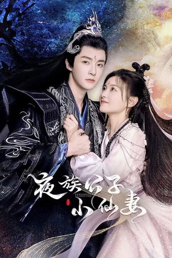 夜族公子小仙妻海报