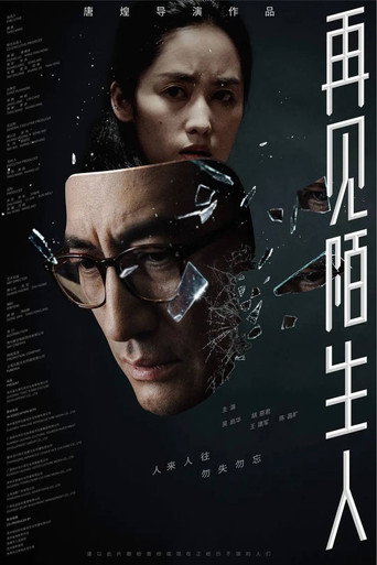 再见，陌生人海报