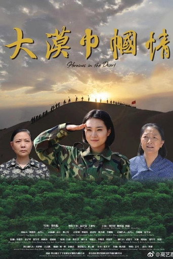 大漠巾帼情海报
