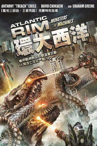 环大西洋海报
