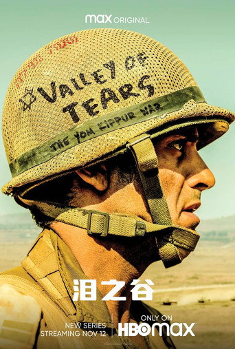 泪之谷海报
