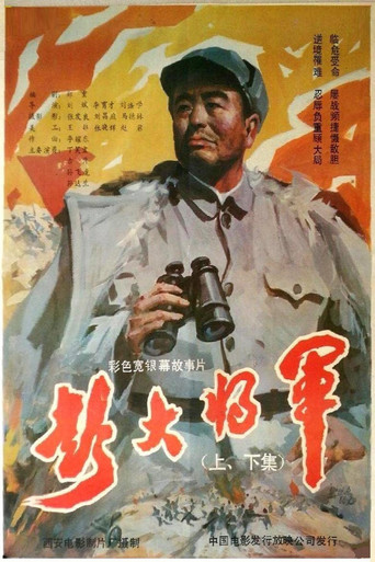 彭大将军海报