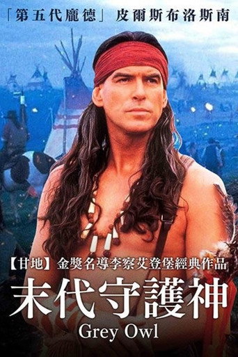 灰色夜枭海报