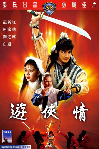 游侠情海报