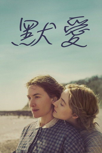 菊石海报