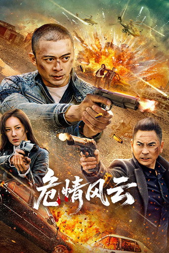 危情风云海报