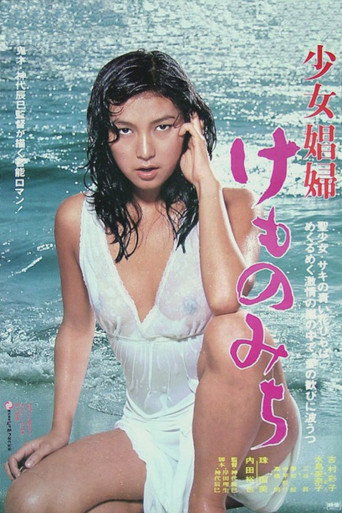 少女娼妇：野兽之道海报