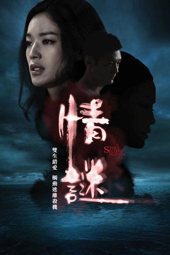 情谜海报