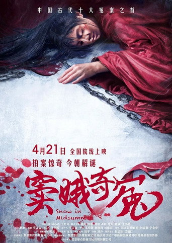 窦娥奇冤海报