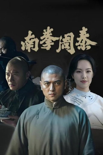 南拳周泰海报