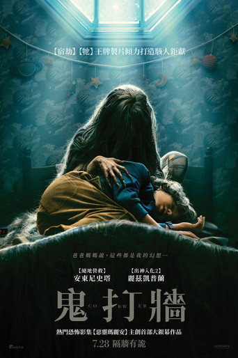 蛛网男孩海报