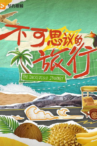 不可思议的旅行海报