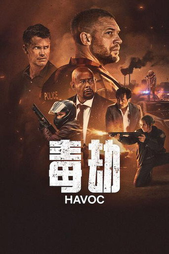 毒劫海报