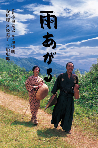 雨停了海报
