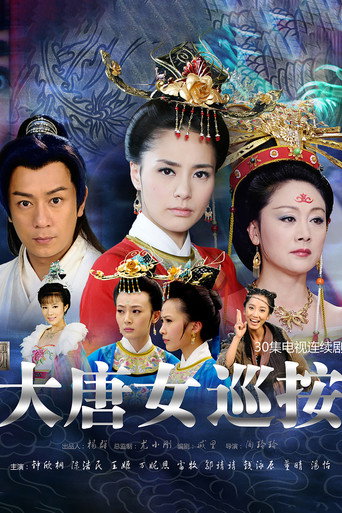 大唐女巡按海报