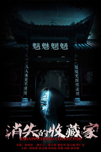 消失的收藏家海报