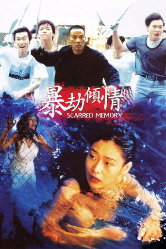 暴劫倾情海报