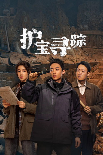 护宝寻踪海报