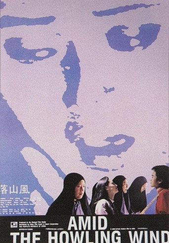 落山风海报