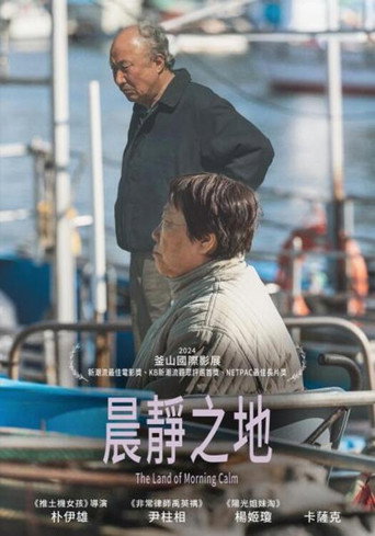 晨海的海鸥海报