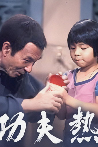功夫热海报