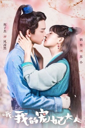 哦，我的宠妃大人海报
