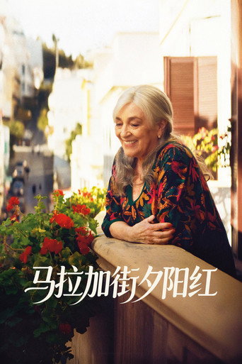 马拉加街夕阳红海报
