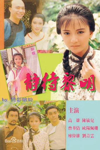 静待黎明海报