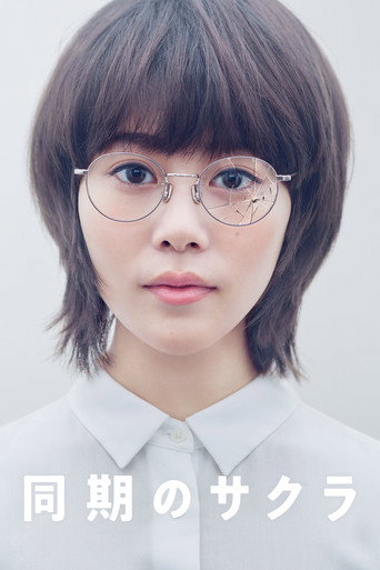 同期的小樱海报