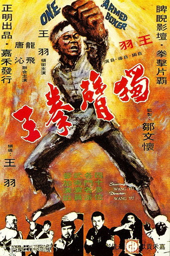 独臂拳王海报
