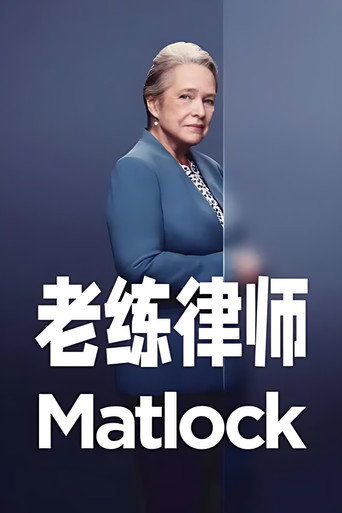 老练律师海报