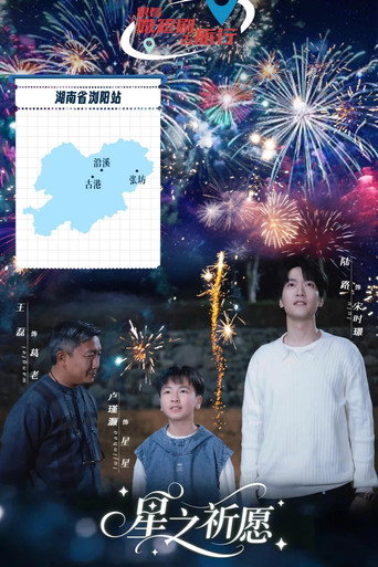 星之祈愿海报