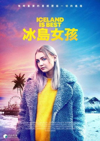 冰岛是最棒的地方海报