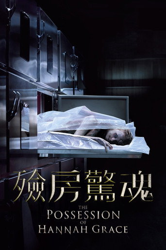 汉娜格蕾丝的着魔海报