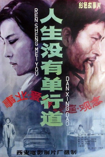 人生没有单行道海报
