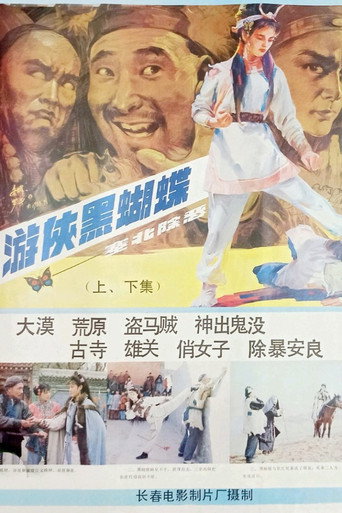 游侠黑蝴蝶海报