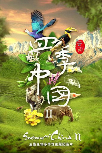 四季中国 Season 2海报