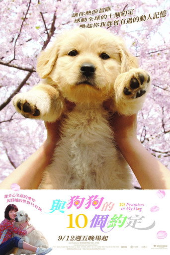 狗狗与我的十个约定海报
