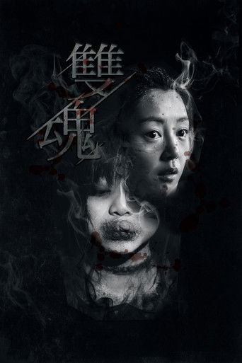 双魂海报