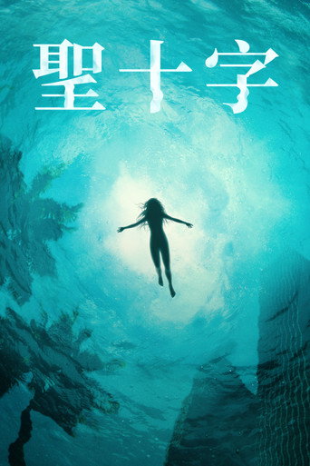 圣十字岛海报