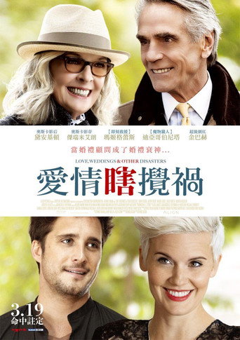 爱情，婚礼和其它灾难海报