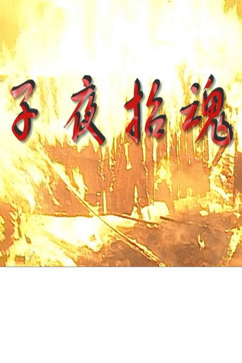 子夜招魂海报